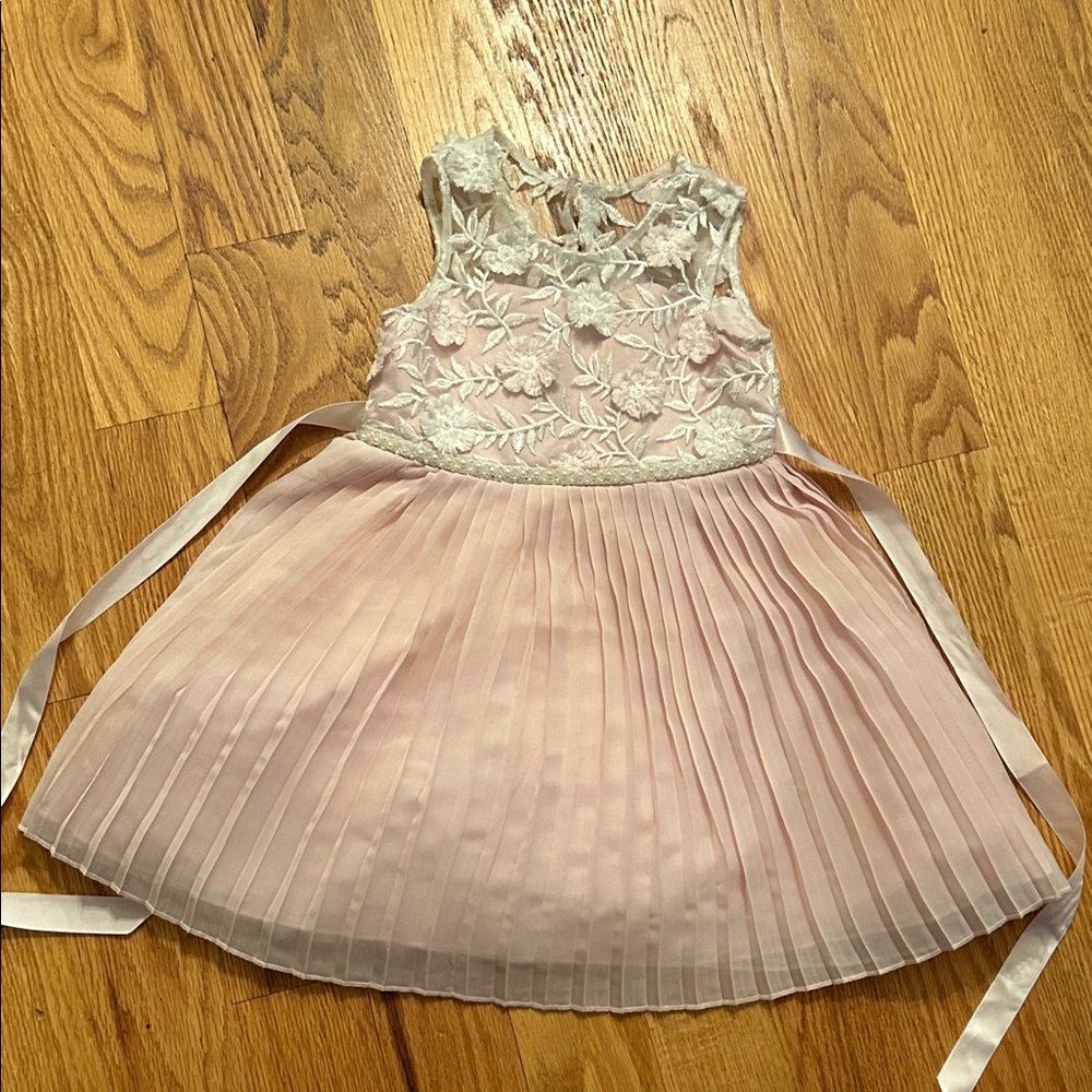 Rare Editions toddler girls embroidered pleated dress